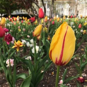 Meet your Posher, Makenna